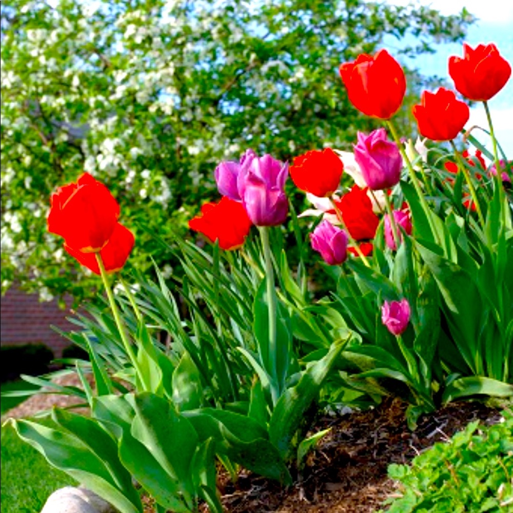 Meet your Posher, Vestiti